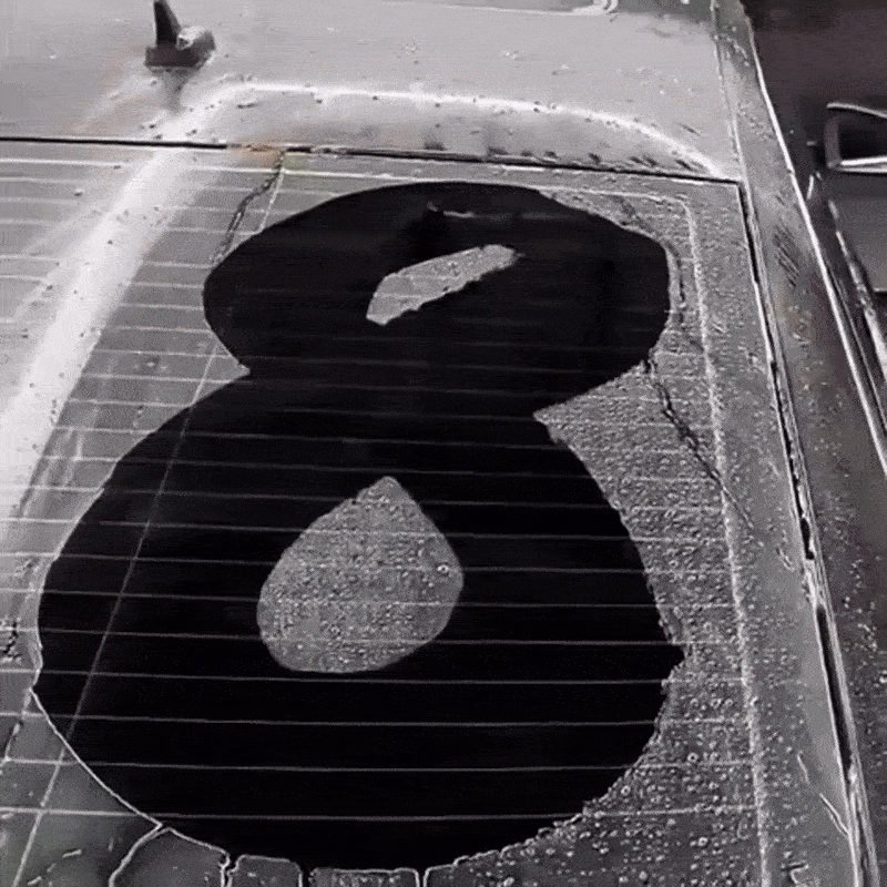 Professional Cleaner 