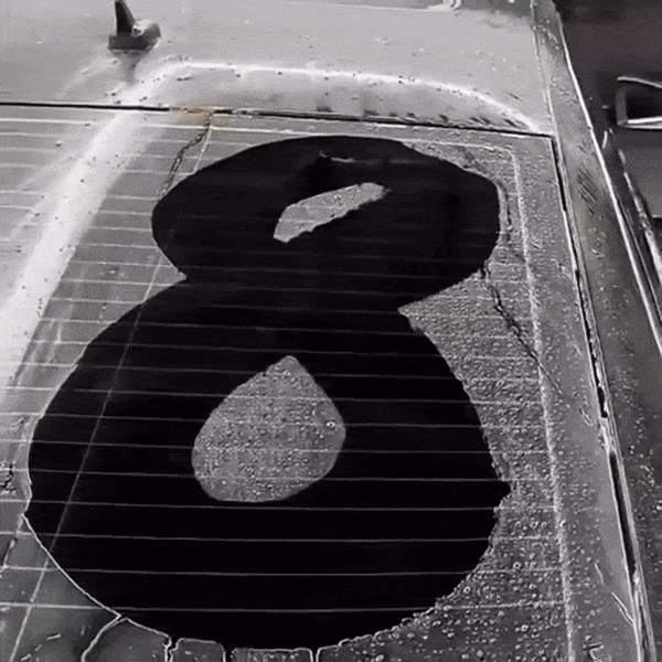 Professional Cleaner 